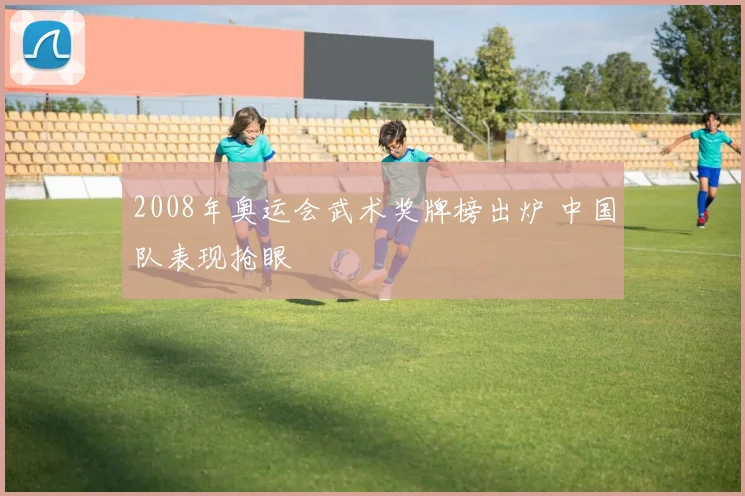 2008年奥运会武术奖牌榜出炉 中国队表现抢眼