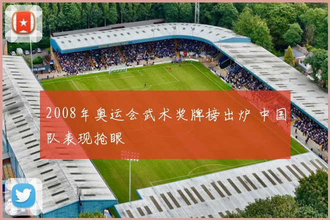 2008年奥运会武术奖牌榜出炉 中国队表现抢眼