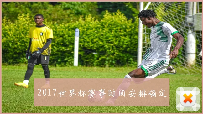 2017世界杯赛事时间安排确定