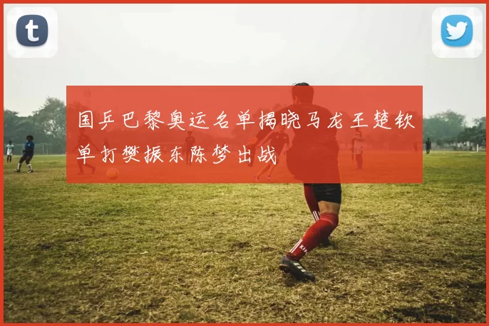 国乒巴黎奥运名单揭晓马龙王楚钦单打樊振东陈梦出战