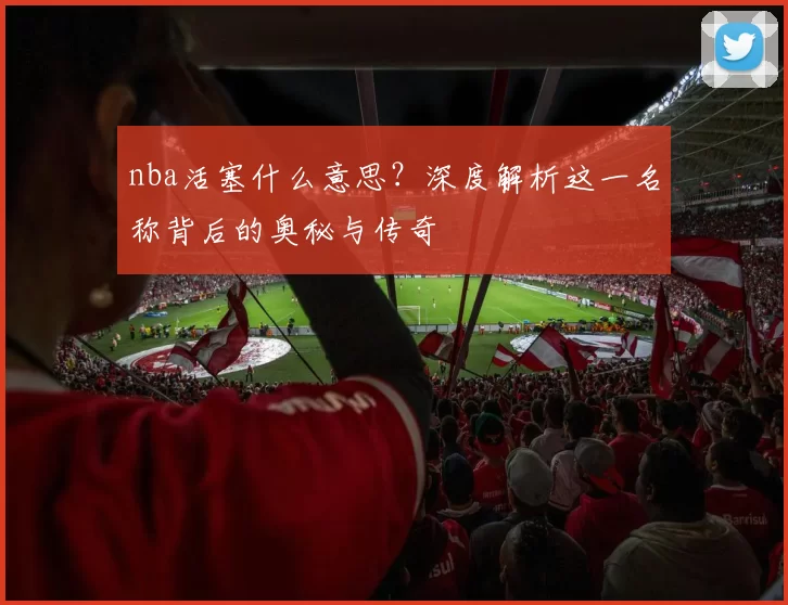 nba活塞什么意思？深度解析这一名称背后的奥秘与传奇